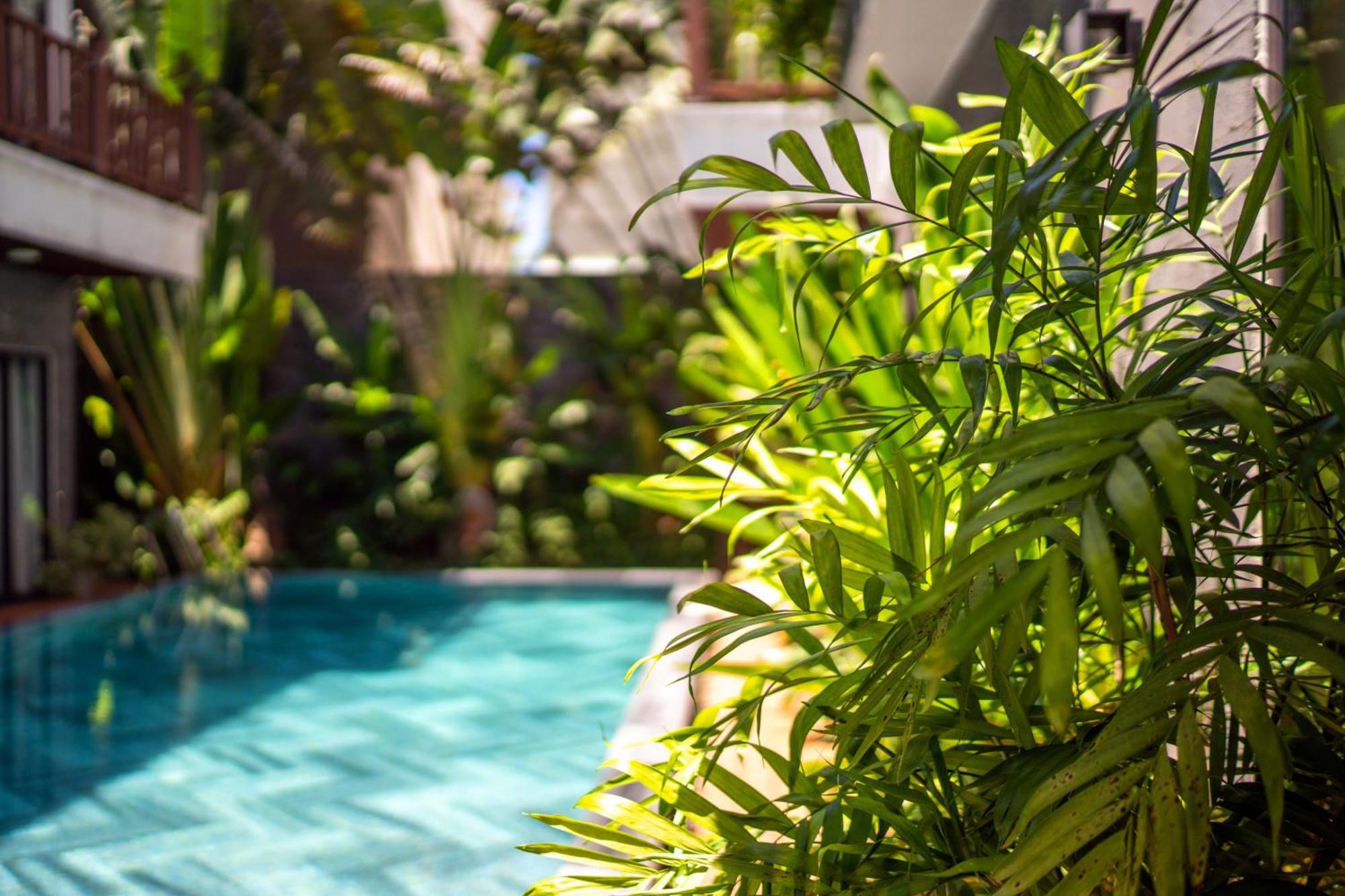 December Hoi An Villa Exteriör bild